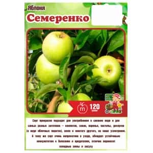 Яблоня Зимняя СЕМЕРЕНКО (Росток)
