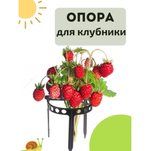 Опора для ягодных Клубника 10шт (К-А)
