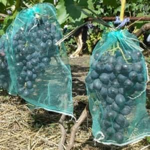Сетка-мешок для винограда 32*50см САДОВИТА