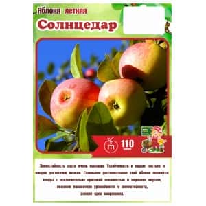 Яблоня Летняя СОЛНЦЕДАР 3 года (БСЦ)