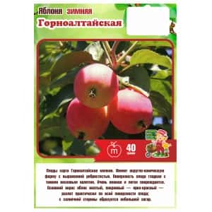 Яблоня Летняя ГОРНОАЛТАЙСКОЕ (Я83 БС22)