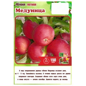Яблоня Летняя МЕДУНИЦА 3 года (БСЦ)