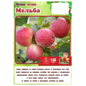 Яблоня Летняя МЕЛЬБА 3 года (БС)
