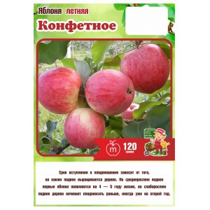 Яблоня Летняя КОНФЕТНОЕ 3 года (БСЦ)