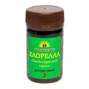 Стимулятор роста Хлорелла порошок 50мл БиоАбсолют (БиоТехнологии)