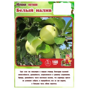 Яблоня Летняя БЕЛЫЙ НАЛИВ 3 года (БСЦ)
