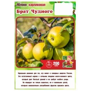 Яблоня Карликовая БРАТ ЧУДНОГО 2года (БСЦ)