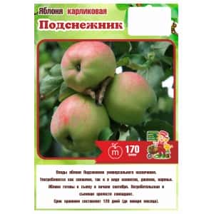 Яблоня Карликовая ПОДСНЕЖНИК 2года (БСЦ)